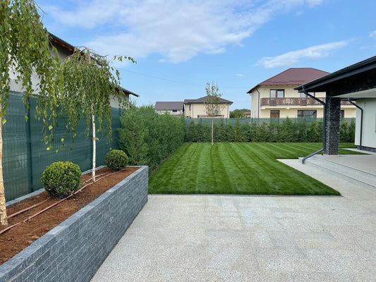 Dream Garden Design – Experiență, Profesionalism și Amenajări la Cel Mai Înalt Nivel